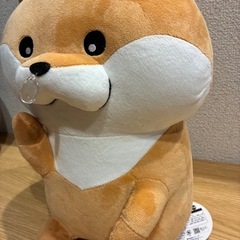 可愛い嘘のカワウソ　鼻かぜぇBIGぬいぐるみの画像
