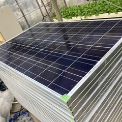 太陽光パネル
の画像