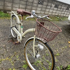 22インチ子供自転車
の画像