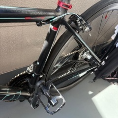 BIANCHI  FENICE ELITEの画像