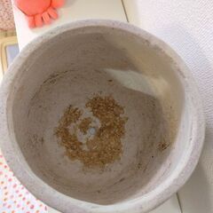 陶器植木鉢　薄グレー　使用済みの画像