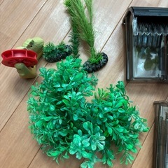 水槽　人工水草等の画像