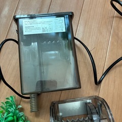 水槽　人工水草等の画像