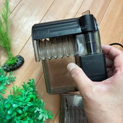 水槽　人工水草等の画像