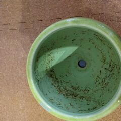 陶器植木鉢　黄緑色　使用済みの画像