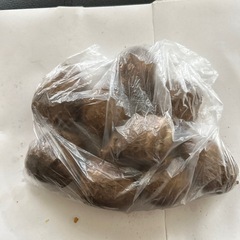 野菜　里芋Aの画像