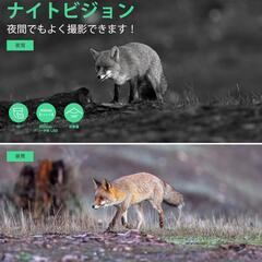 トレイルカメラ ソーラー 赤外線 6400万動画4Ｋ 人感センサー 監視カメラの画像