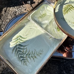 シダ　お盆トレーの画像