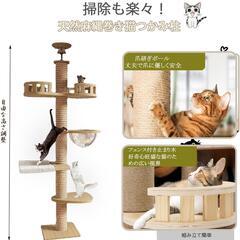 キャットタワー 突っ張り 240〜250cm 宇宙船ハンモック付き シングル 猫の画像