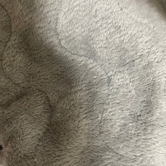 【0円お譲りします】布団➕敷布団の画像