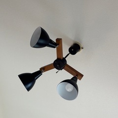 値下げ！11/1,2,3で引き取れる方★ 【ニトリ/LED電球付き】リビングライシェーディングライトの画像