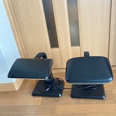 昭和レトロ SANYO 蛍光灯ライト  スタンドライト 2点セット の画像