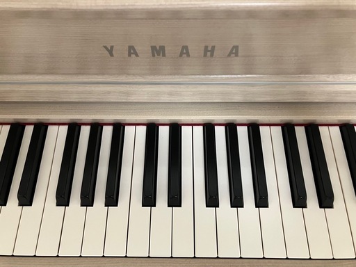 19年製【美品・高級モデル】CLP-645クラビノーバ