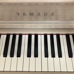 19年製【美品・高級モデル】CLP-645クラビノーバの画像