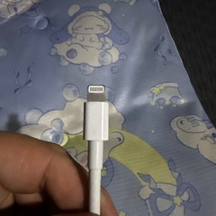 Apple純正lightningからHDMIへ変換の画像