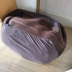 大きめビーズクッションの画像