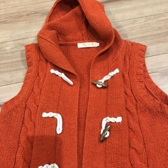 クロコダイル🐊ベストMの画像