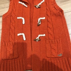 クロコダイル🐊ベストMの画像