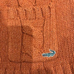 クロコダイル🐊ベストMの画像