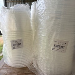 メダカ容器
の画像