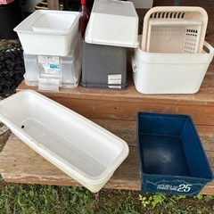 メダカ容器
の画像