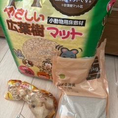 ハムスターゲージ、餌、砂、木くずの画像