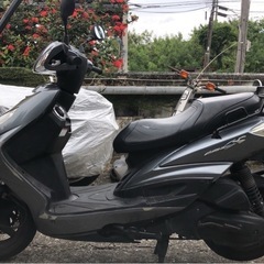 シグナスX 2型 ①の画像