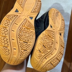 ミズノ　室内シューズの画像