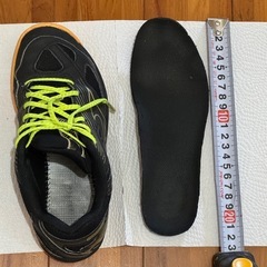 ミズノ　室内シューズの画像