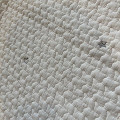 正方形マットの画像