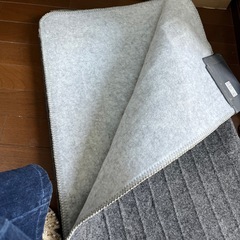 ホットカーペットの画像