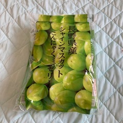 シャインマスカット ゼリー
の画像