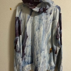 ザ・ノース・フェイス X シュプリーム サイズMの画像