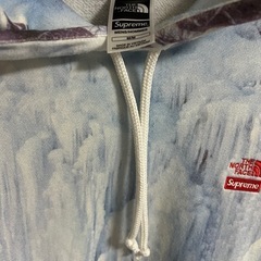 ザ・ノース・フェイス X シュプリーム サイズMの画像