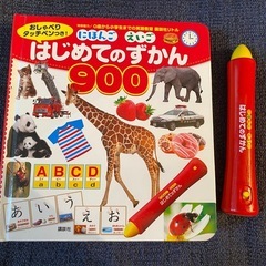 美品　はじめてのずかん900(日本語・英語対応)の画像