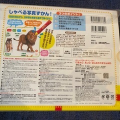 美品　はじめてのずかん900(日本語・英語対応)の画像
