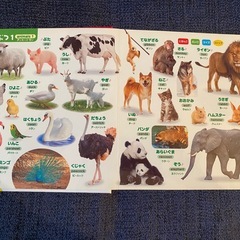 美品　はじめてのずかん900(日本語・英語対応)の画像