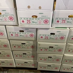 ゆら早生みかんの画像