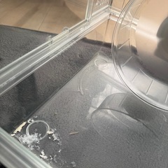 グラスハーモニー450の画像