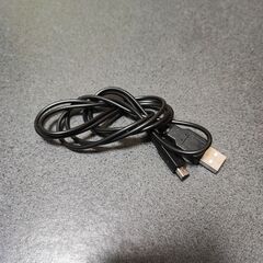 Nintendo　3DS　LL　SDカード有　タッチペン有　充電器有(USBタイプ)　ジャンク品　中古品の画像