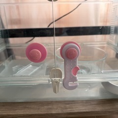 グラスハーモニー450の画像