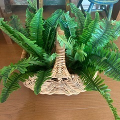 フェイクグリーン　2つセットの画像