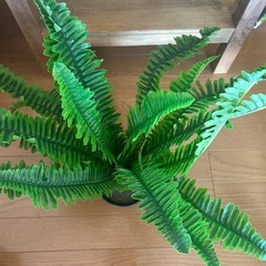 フェイクグリーン　2つセットの画像