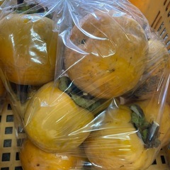 渋柿　10入り袋¥400の画像