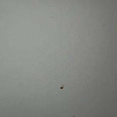 韓国風ドレッサーの画像