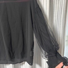 【Mサイズ】シースルー　トップスの画像