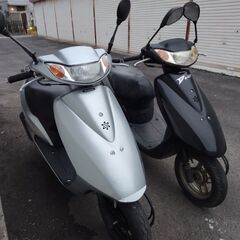 黒い方のDio -AF62を売ります　キャブレター車最終型の画像