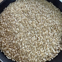 7年度産さがびより、30キロ、玄米、中米、
飲食店などの画像