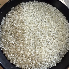 7年度産さがびより、30キロ、玄米、中米、
飲食店などの画像