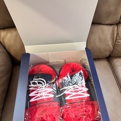 キングスファンクラブ入会特典品の画像